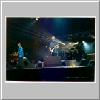 2001-05-19-tampa-spotz-2.jpg