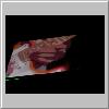 dsc00057.jpg